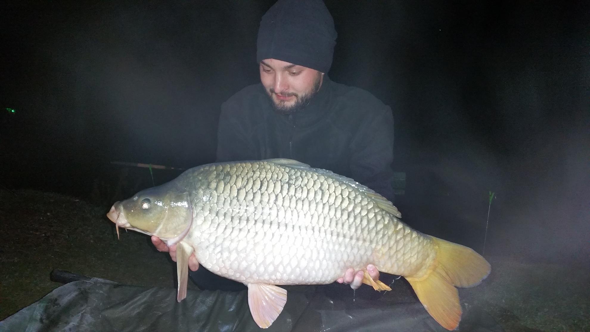 Păușești - 20171105052915.jpg